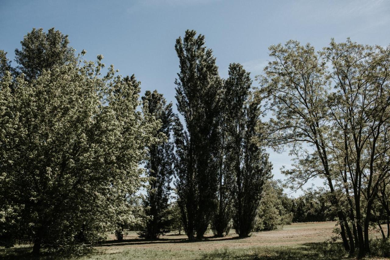 L'Anfora Country Club Panzió Basciano Kültér fotó
